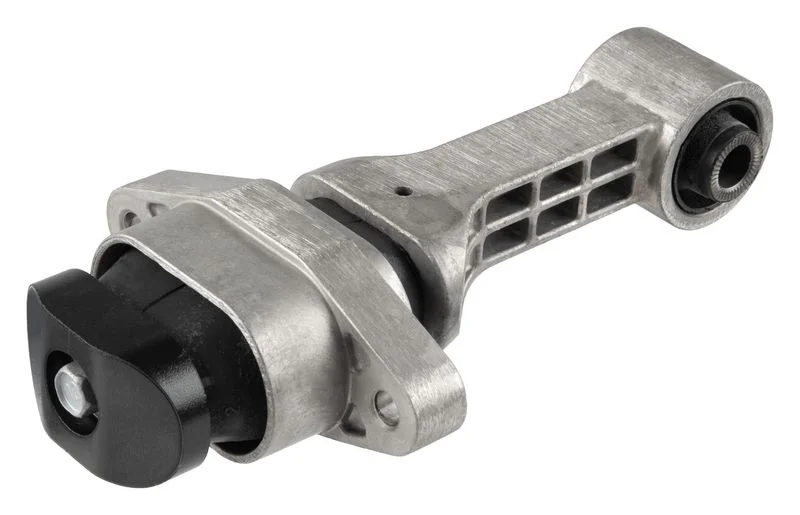 Variklio montavimas LEMFORDER 45450 01