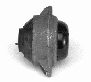 Variklio montavimas LEMFÖRDER 17555 01