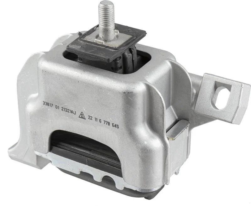 Variklio montavimas LEMFÖRDER 33817 01