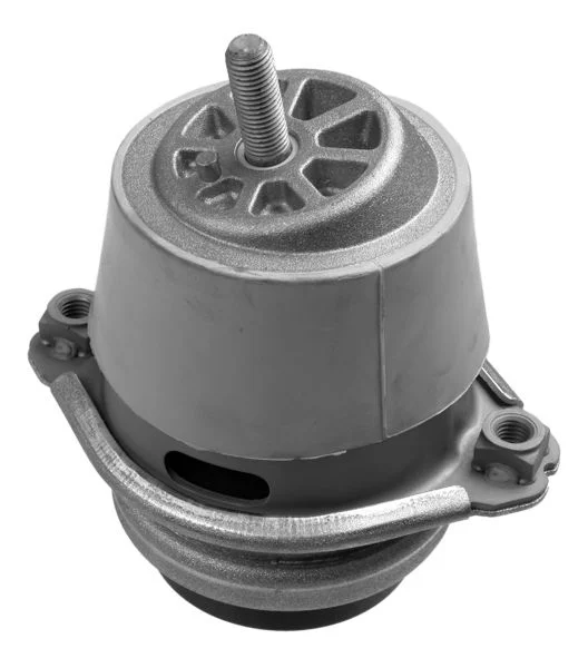 Variklio montavimas LEMFÖRDER 35789 01