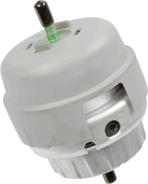 Variklio montavimas LEMFÖRDER 36233 01