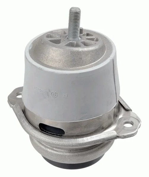 Variklio montavimas LEMFÖRDER 37439 01