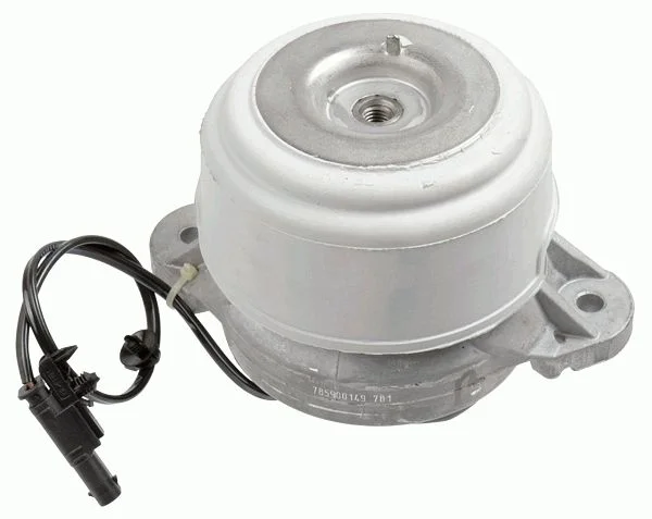 Variklio montavimas LEMFÖRDER 37541 01