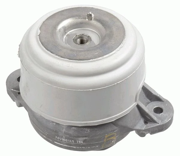 Variklio montavimas LEMFÖRDER 37543 01