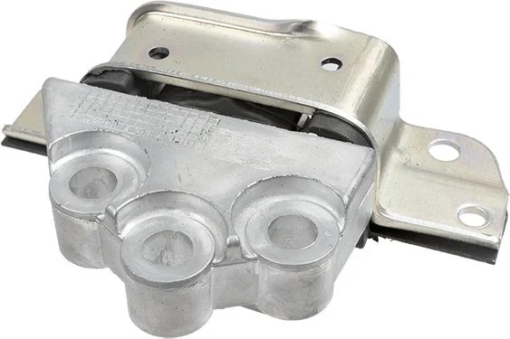 Variklio montavimas LEMFÖRDER 42446 01