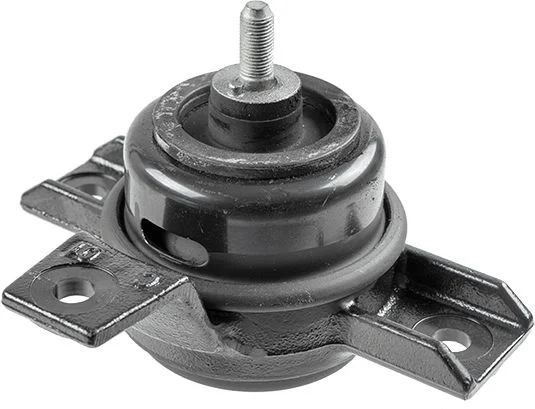 Variklio montavimas LEMFÖRDER 42737 01