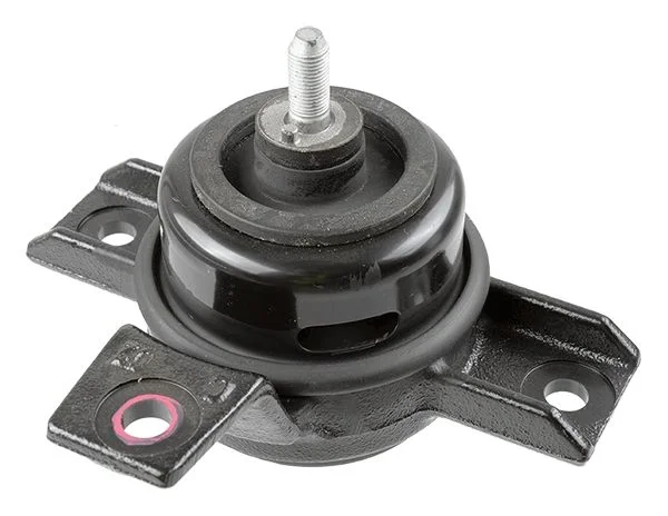 Variklio montavimas LEMFÖRDER 43012 01