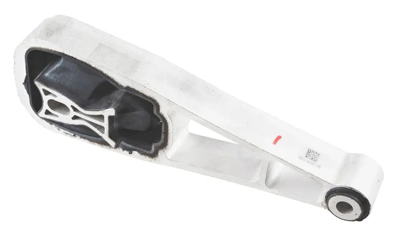 Variklio montavimas LEMFÖRDER 43274 01