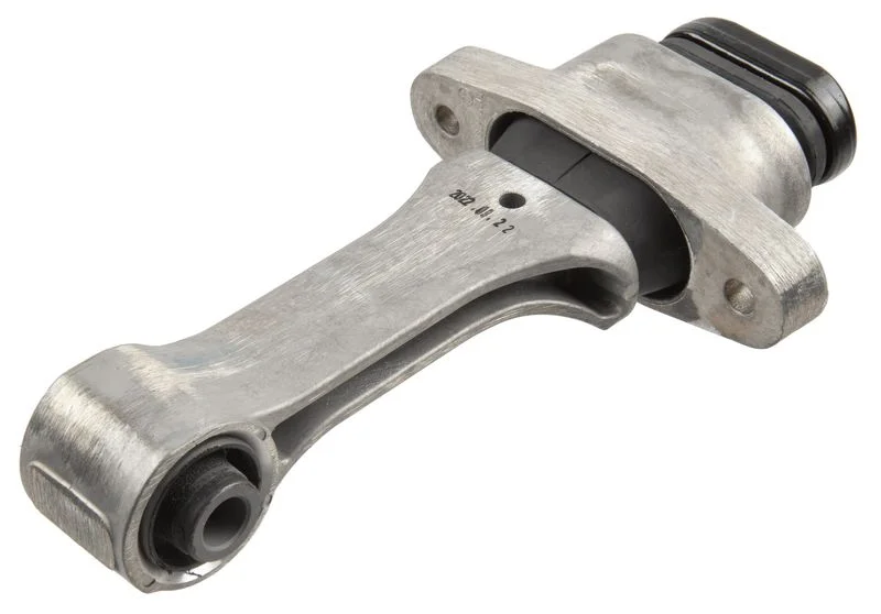Variklio montavimas LEMFÖRDER 44597 01