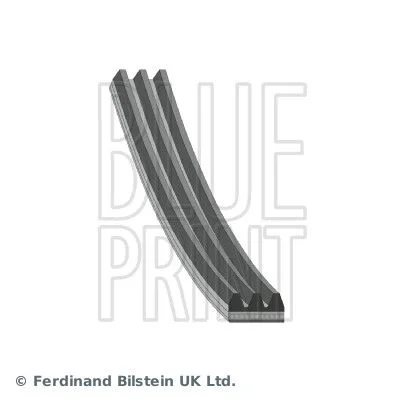 Correia do alternador Estriada BLUE PRINT AD03R641