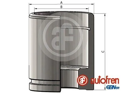 Pistão, pinça de travão AUTOFREN SEINSA D025376