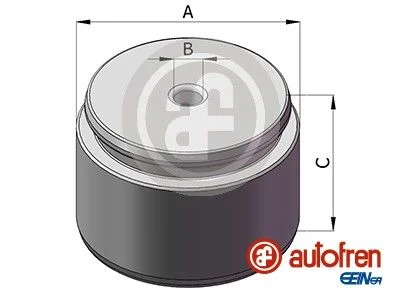 Pistão, pinça de travão AUTOFREN SEINSA D025407