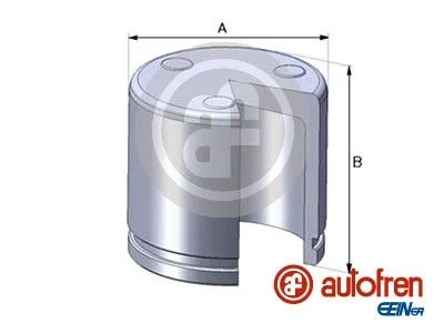 Pistão, pinça de travão AUTOFREN SEINSA D02551