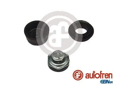 Kit de Reparação, cilindro mestre dos travões AUTOFREN SEINSA D1042