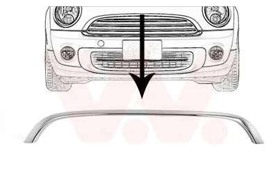Trim/Protection Strip, radiator grille VAN WEZEL 0508518