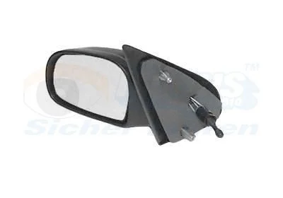 Exterior Mirror VAN WEZEL 0950803