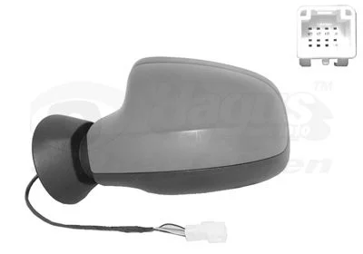 Exterior Mirror VAN WEZEL 1516817