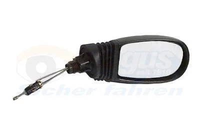 Espelho Exterior VAN WEZEL 1620804
