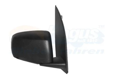 Exterior Mirror VAN WEZEL 1709801