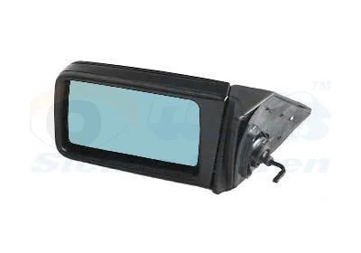Espelho Exterior VAN WEZEL 3024803