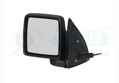 Exterior Mirror VAN WEZEL 3789804