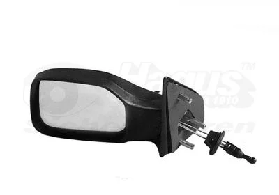 Espelho Exterior VAN WEZEL 4009803