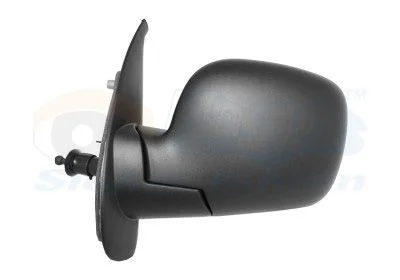 Exterior Mirror VAN WEZEL 4312803