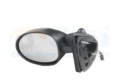 Exterior Mirror VAN WEZEL 4342808