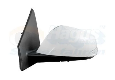 Exterior Mirror VAN WEZEL 4377807