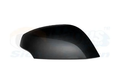 Tampa, espelho exterior VAN WEZEL 4377844