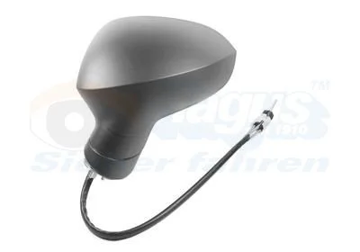 Exterior Mirror VAN WEZEL 4919803