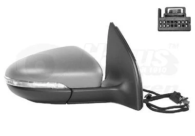 Exterior Mirror VAN WEZEL 5863818