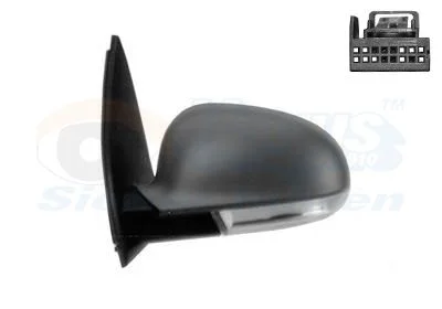 Exterior Mirror VAN WEZEL 5894805