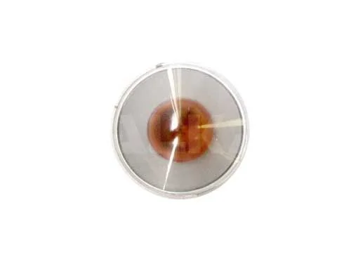 Indicador de Direção \ Piscas ALKAR 3107961