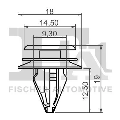 Clip, trim/protection strip FISCHER - SPINKI TAPICERSKIE KOLKI 10-40021.5