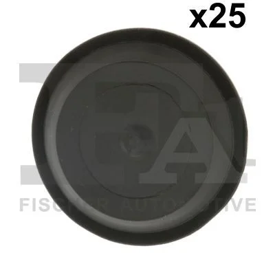 Clip, trim/protection strip FA1 11-10024.25