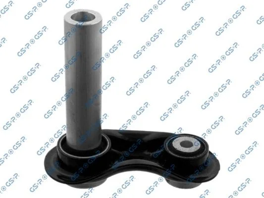 273 GSP S060068