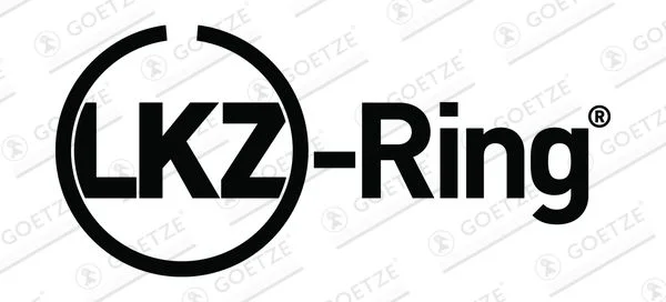 Kit de anéis do pistão GOETZE ENGINE 08-449700-00