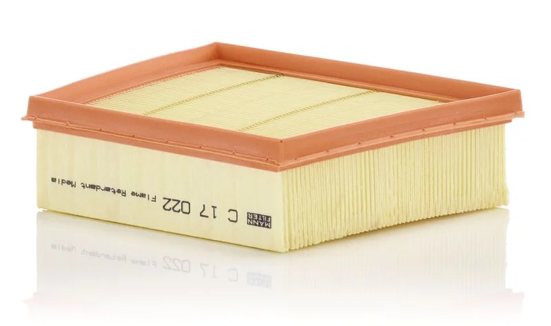 Filtro de Ar MANN-FILTER C 17 022