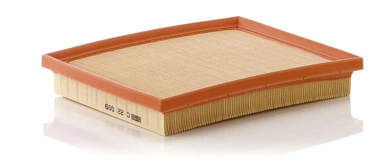Filtro de Ar MANN-FILTER C 22 009