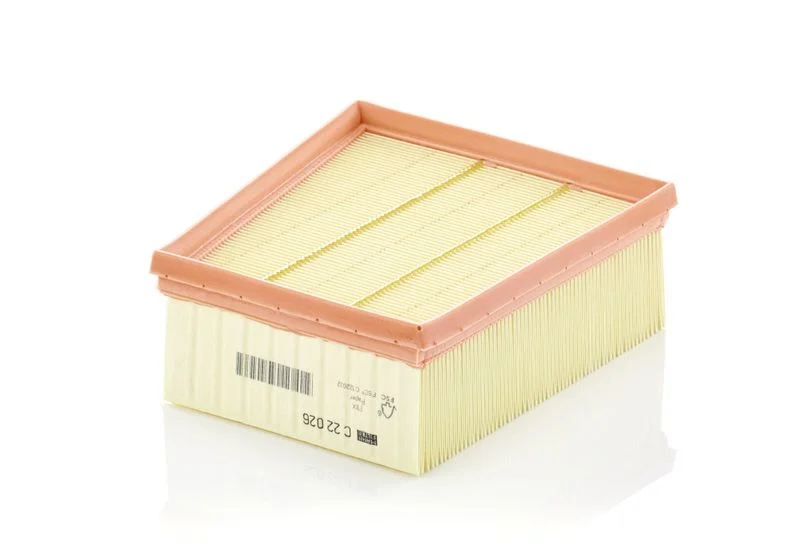 Filtro de Ar MANN-FILTER C 22 026