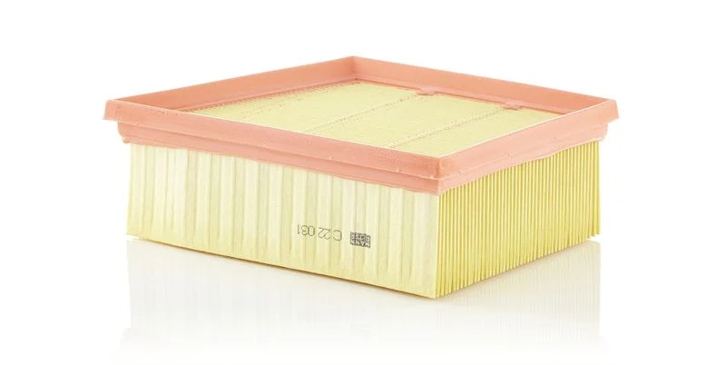 Filtro de Ar MANN-FILTER C 22 031