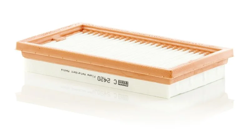 Air Filter MANN-FILTER C 2420