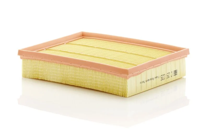 Filtro de Ar MANN-FILTER C 25 035