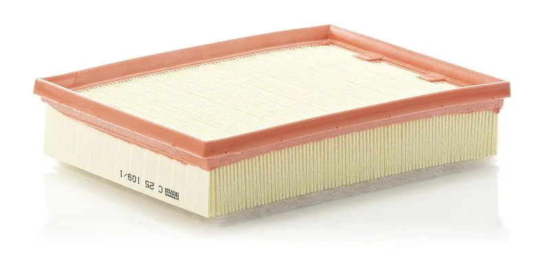Filtro de Ar MANN-FILTER C 25 109/1
