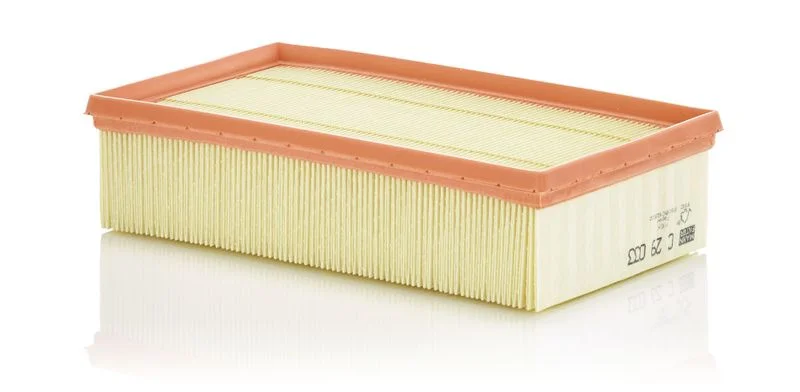 Filtro de Ar MANN-FILTER C 29 033