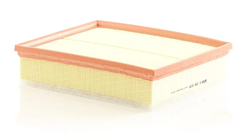 Filtro de Ar MANN-FILTER C 29 034
