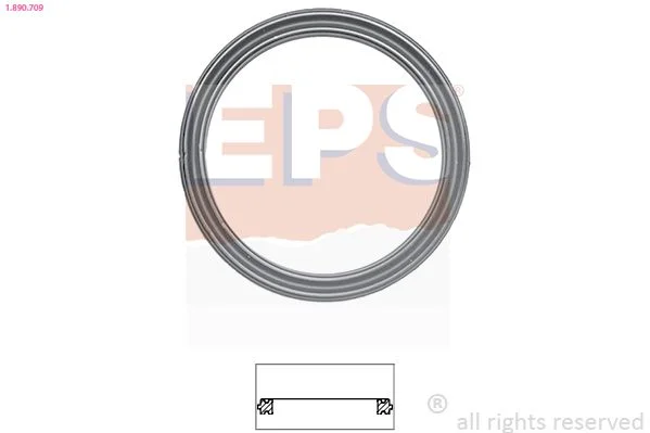 Seal, thermostat EPS 1.890.709