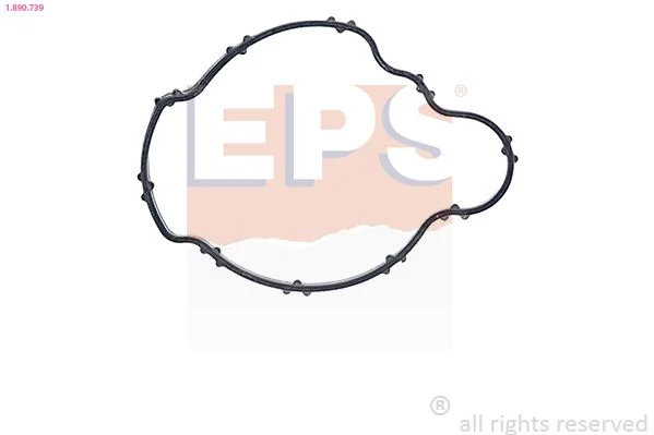 Seal, thermostat EPS 1.890.739