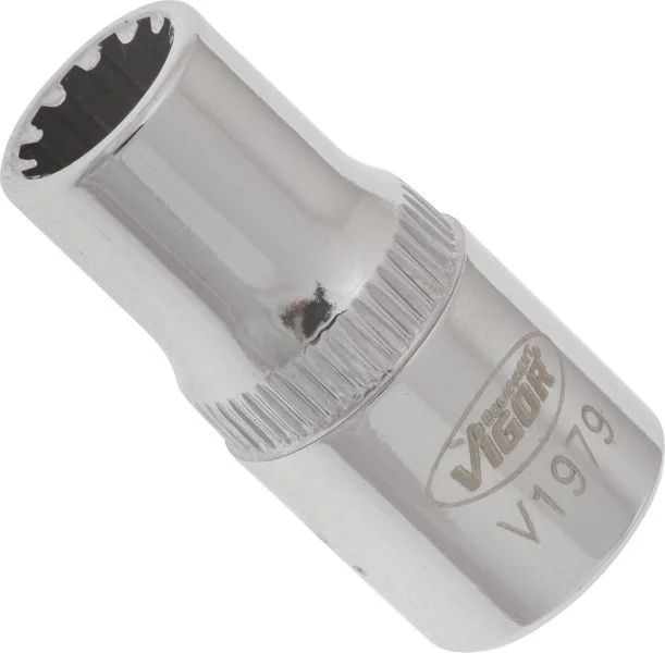 Šešiakampio lizdas VIGOR V1979